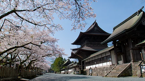 阿蘇神社の写真